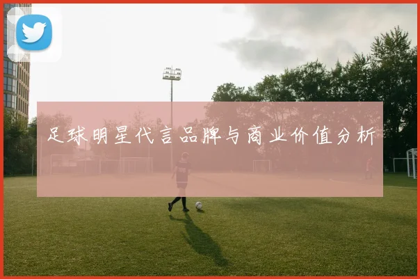 足球明星代言品牌与商业价值分析